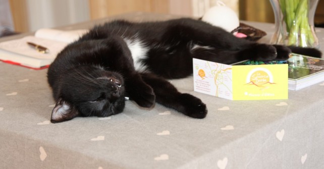 Trucs et astuces pour un happy stress : la sieste !