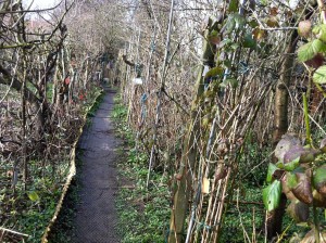 permaculture jardin des fraternités ouvrières