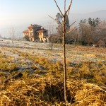 permaculture Lyon