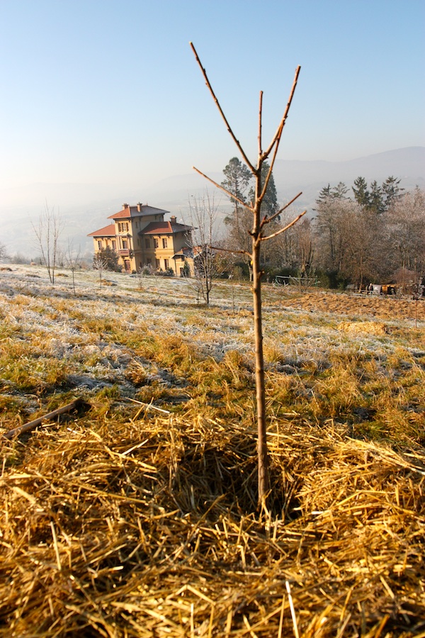 permaculture Lyon