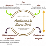 formation permaculture