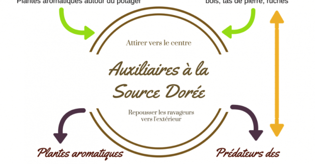 Les auxiliaires permacoles de La Source dorée