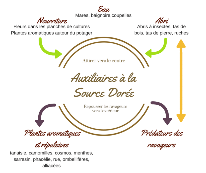 formation permaculture