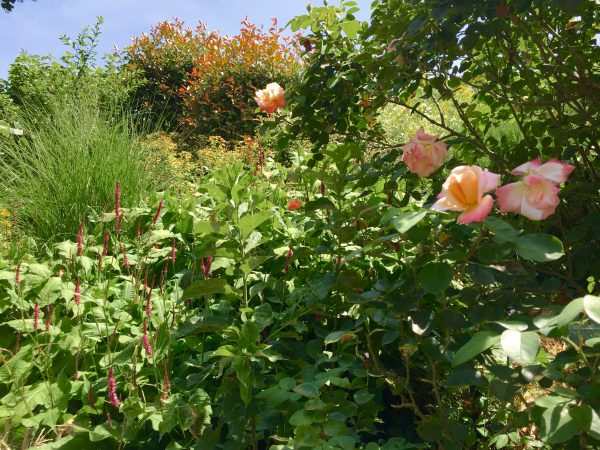 maison d'hote de charme