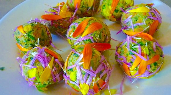 atelier de cuisine vivante