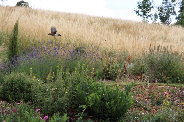 tourisme de proximité