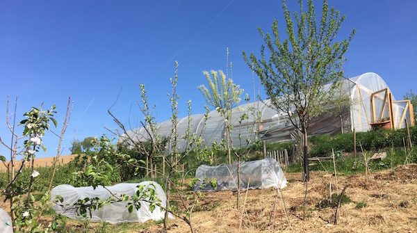 Découvrez la permaculture Rhone à La Source dorée