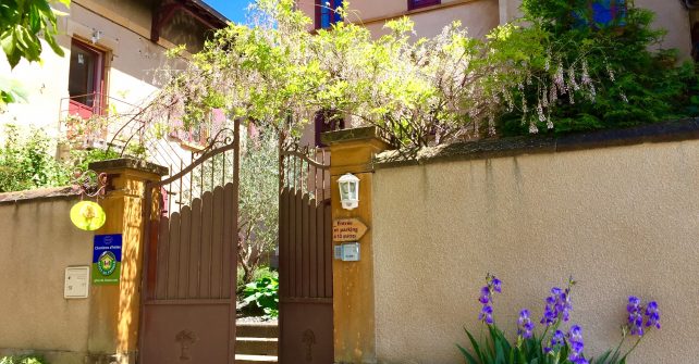 Un cours d’introduction à la permaculture pourquoi faire ?