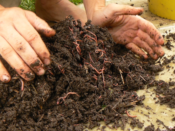 faire son compost