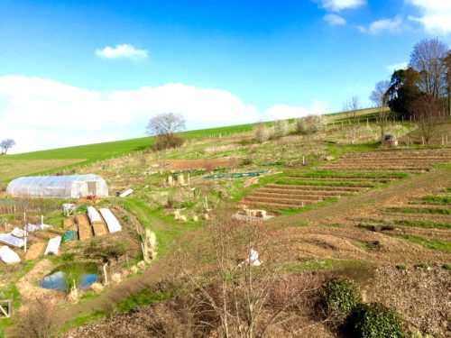 calendrier potager