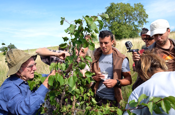 formations de permaculture formations de permaculture