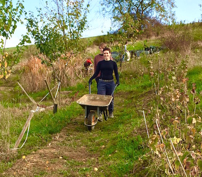 seminaire entreprise original 