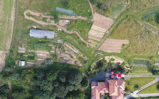 stage permaculture design