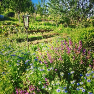 biodiversité des écosystèmes