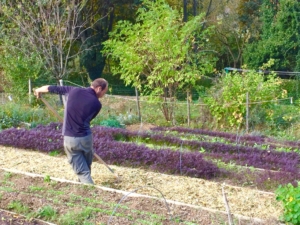 Permaculture Rhône