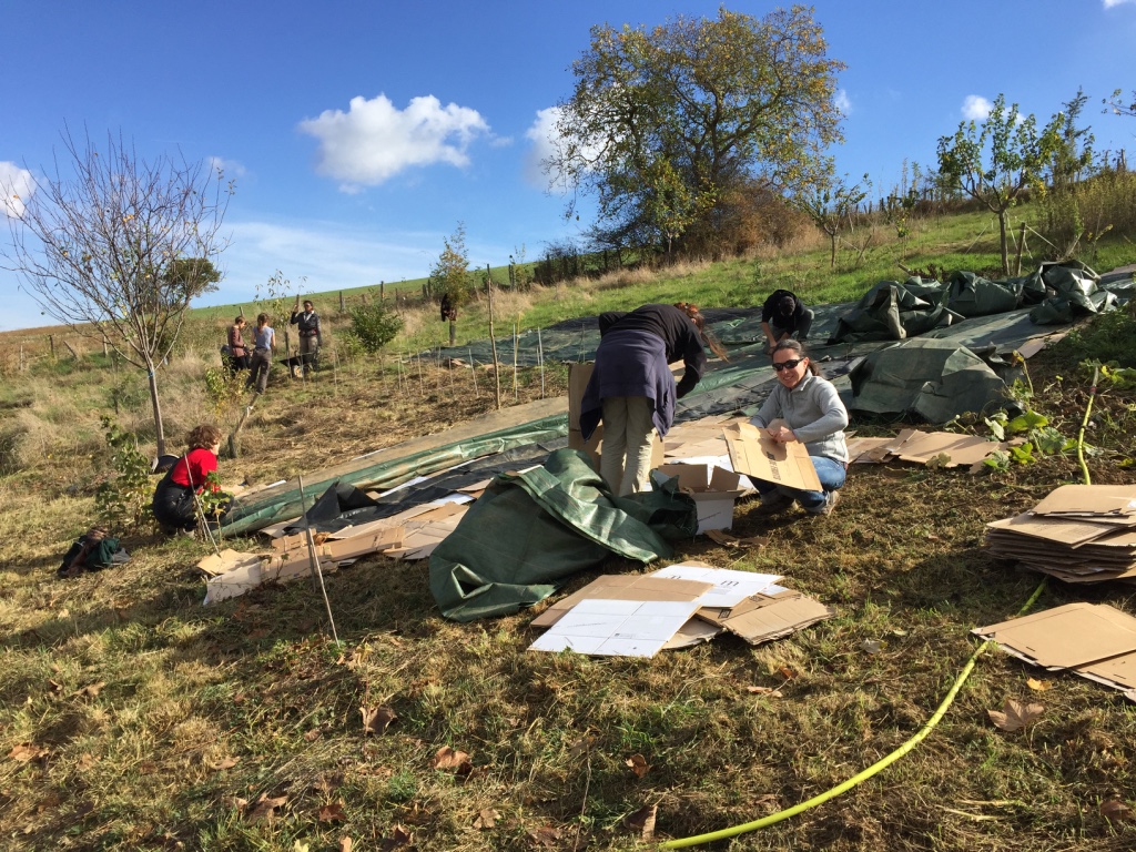 chantier participatif permaculture