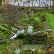 Jardin permaculture
