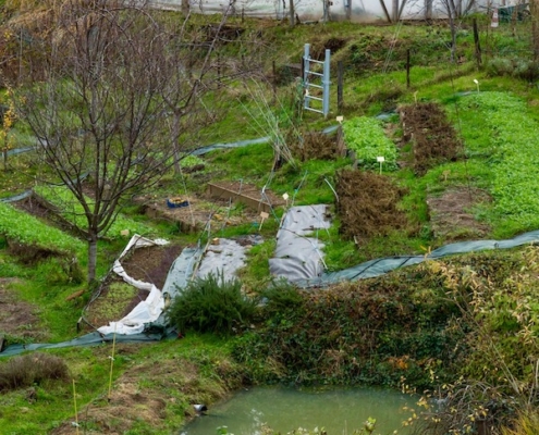 Jardin permaculture