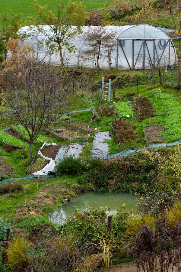 Jardin permaculture