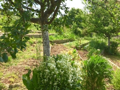 formation permaculture