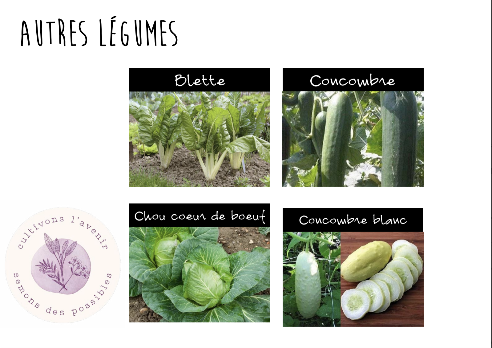 plants de légumes bio