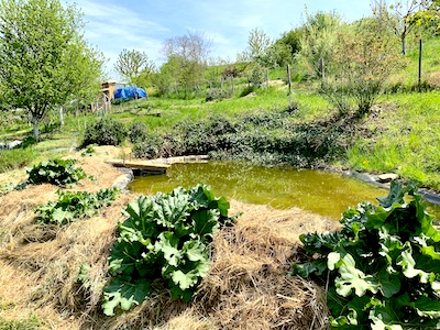 gestion de l'eau