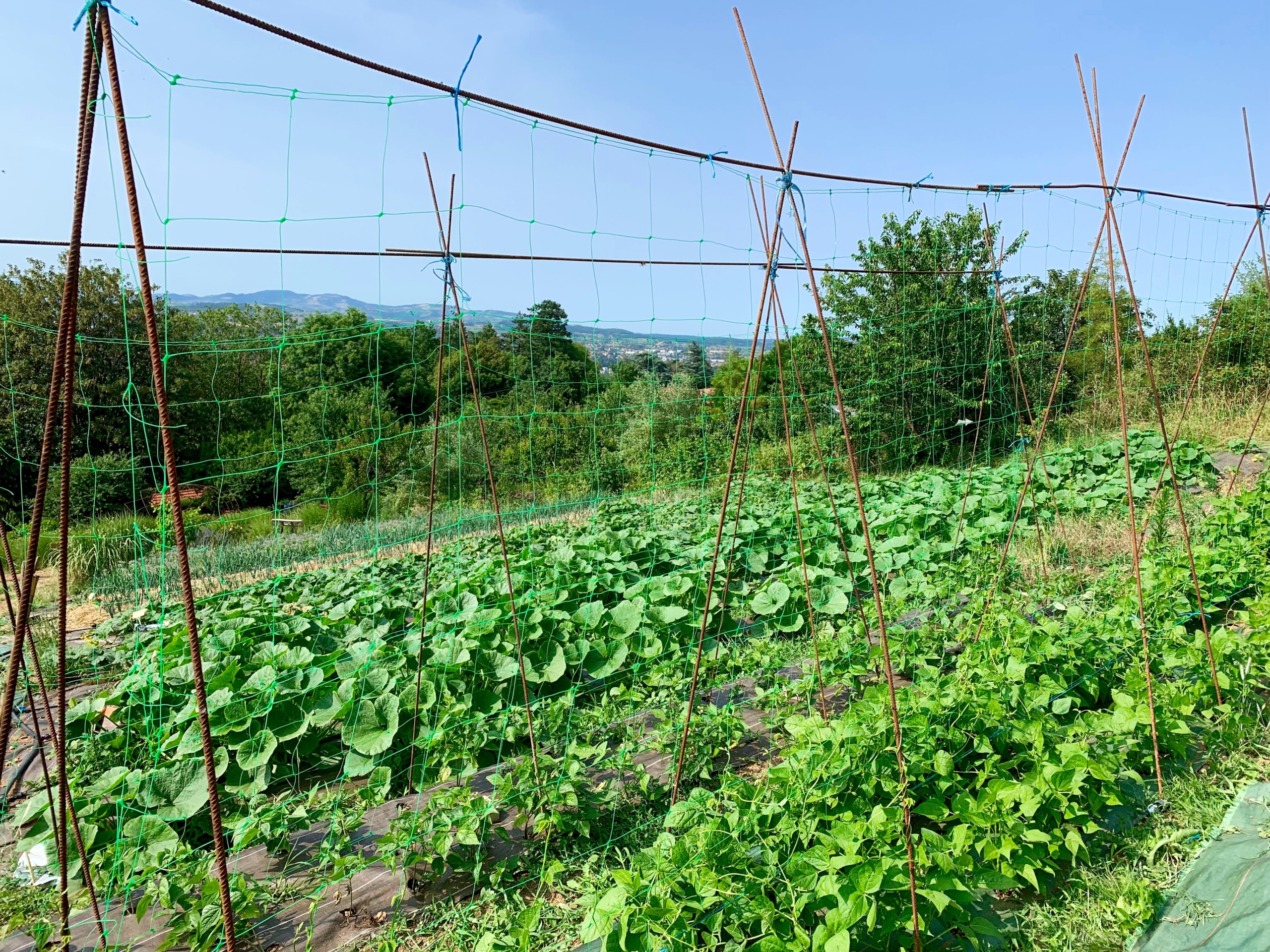 ferme permacole microferme