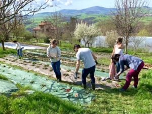 ferme participative