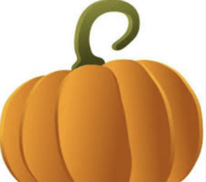 association jardinez