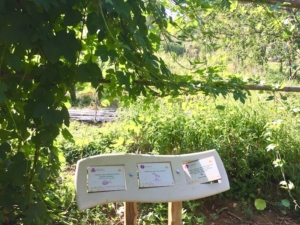 Visite des jardins pédagogiques à saint pierre la palud prés de Lyon