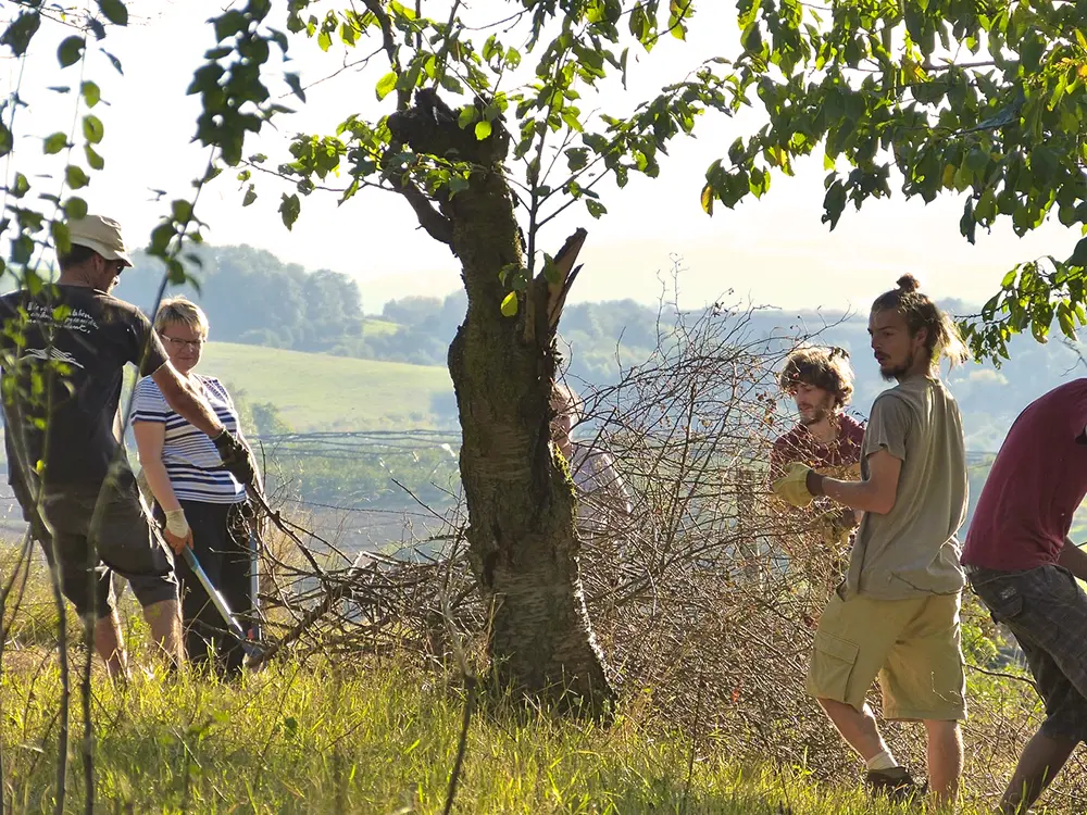 chantier participatif lors d'une formation permaculture Lyon