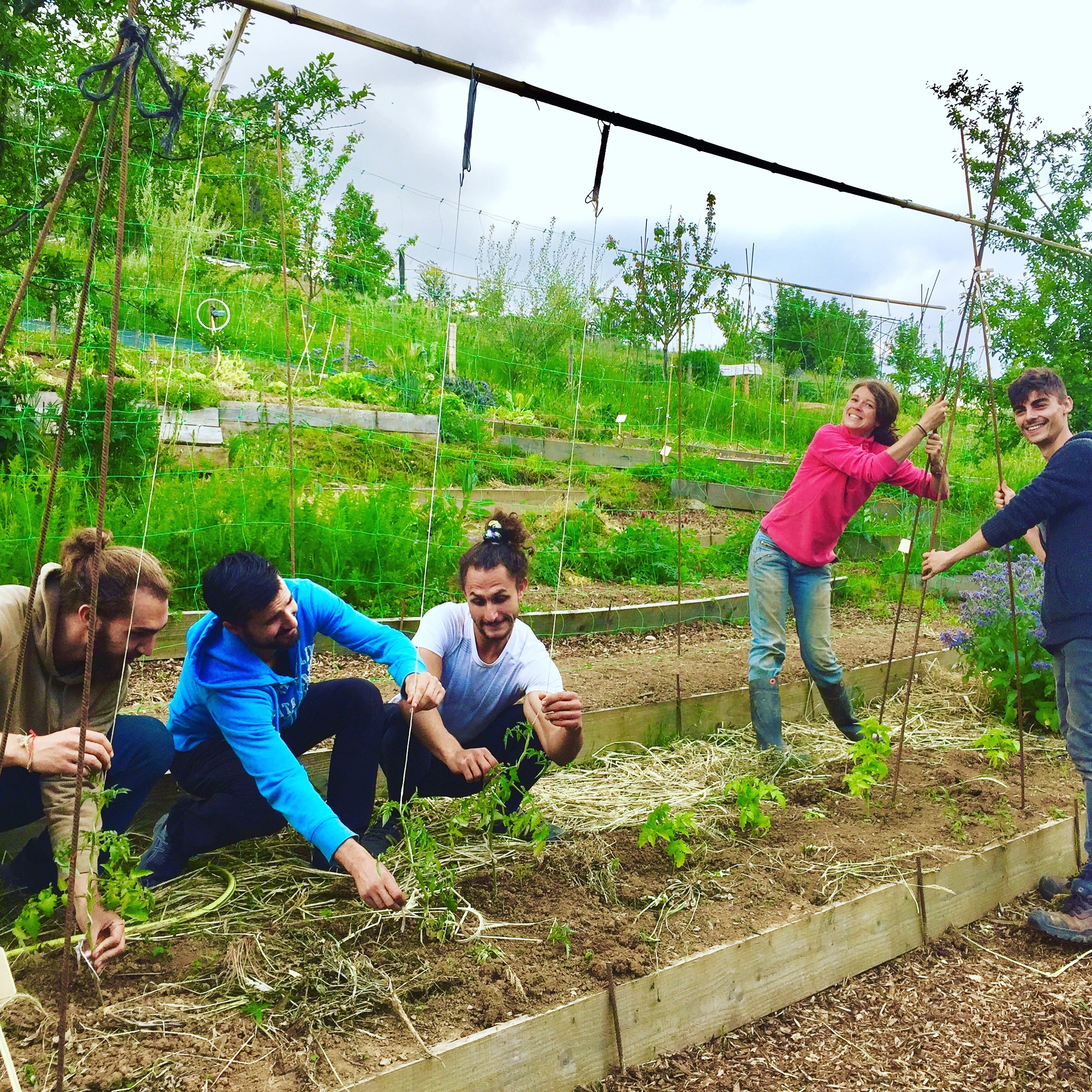 formations permaculture