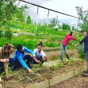 atelier nature atelier nature