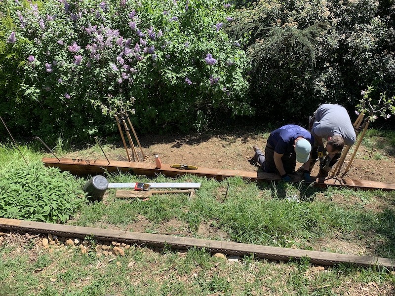 coaching-pour-lamenagement-de-votre-jardin