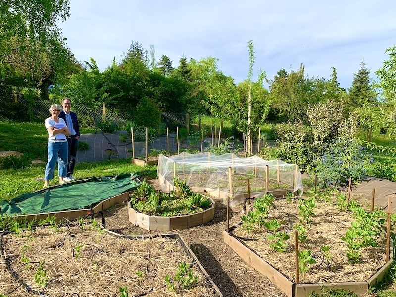 coaching-pour-lamenagement-de-votre-jardin coaching-pour-lamenagement-de-votre-jardin